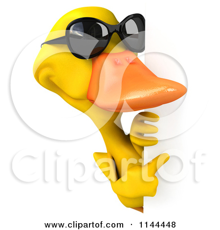 Duck Illustrations And Clipart 4600 Duck Royalty Free   Auto Design