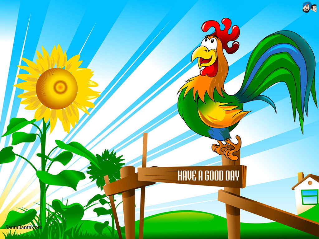 Good Day Rooster  Alignnone Size Full Wp Image 54512  Url