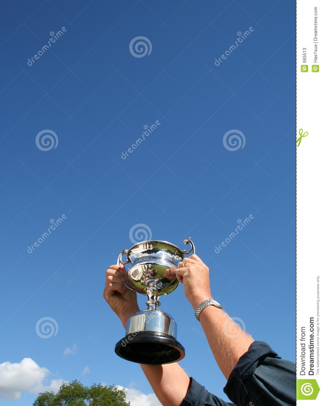 We Have A Winner Stock Photos   Image  665513