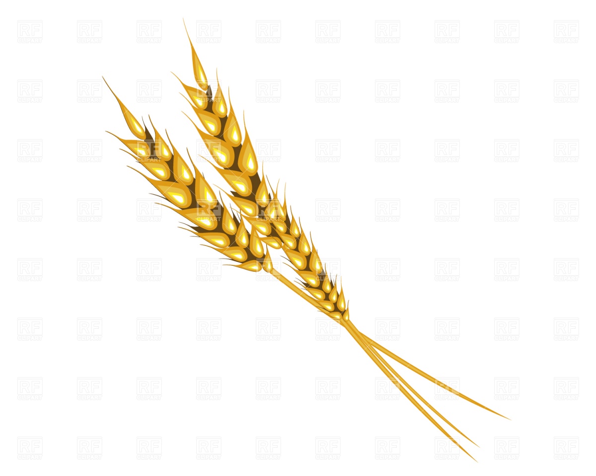     Clipart Free  Wheat Clipart Free Download  Wheat Clipart Black And