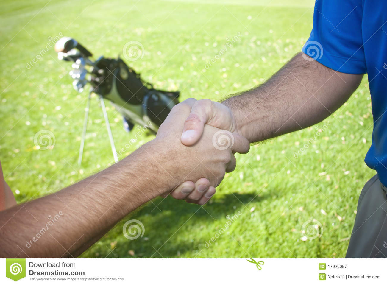 Golfers Shaking Hands Royalty Free Stock Photography   Image  17920057