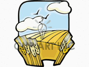 Wheat Clip Art Photos Vector Clipart Royalty Free Images   1
