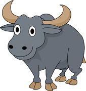 Buffalo Clipart Hits 489 Size 47 Kb Female Buffalo Hits