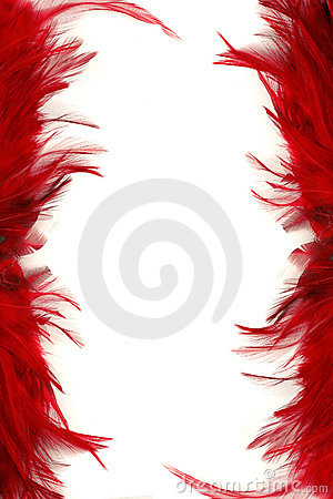 Feather Borders Royalty Free Stock Photography   Image  1209007