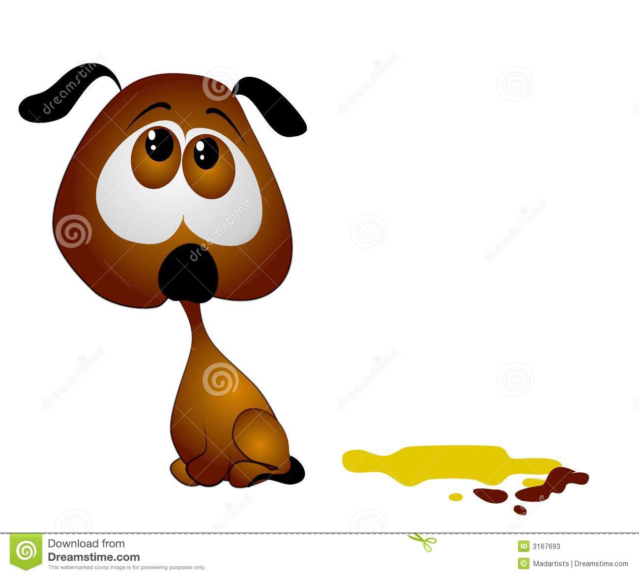House Training Puppy Poop Pee Stock Photos   Image  3167693