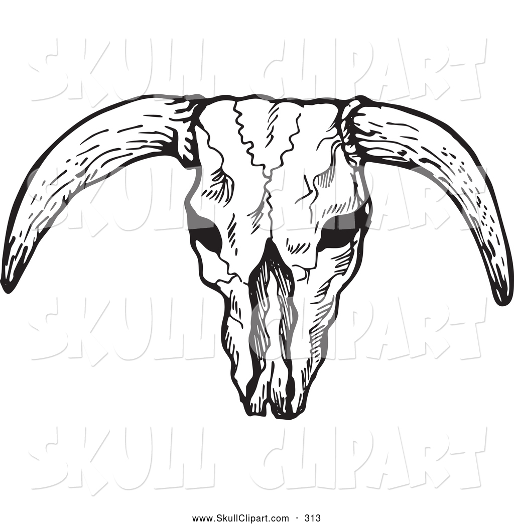 Longhorn Skull Vector Clipart Picture