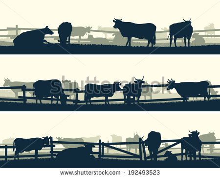 Of Grazing Farm Animals With Fence  Cows And Bulls     Stock Vector