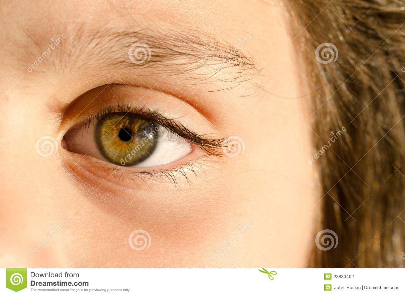 Watching You  Stock Photography   Image  23830402