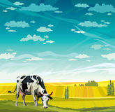 Cartoon Field Dairy Cow Stock Illustrations Vectors   Clipart