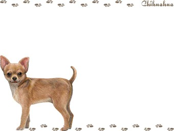 Chihuahua Clipart Graphics  Free Clip Art