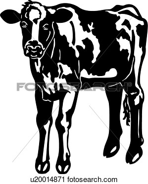 Clipart Of  Animal Breeds Cattle Cow Farm Holstein Livestock