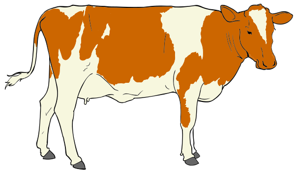 Cow Clipart 01    Animals C Cow Cow 3 Cow Clipart 01 Png Html
