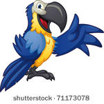 Cute Cartoon Blue Macaw  Vector Illustration With Simple Gradients