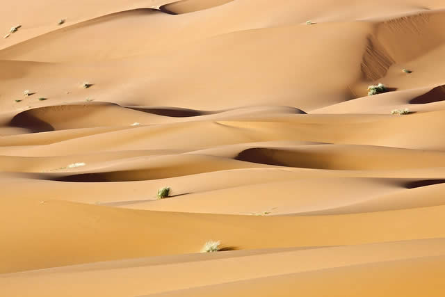 Desert Sand Clipart Sahara Desert Sand Dunes In
