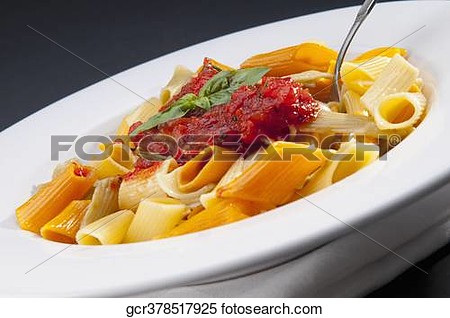 Dish Of Rigatoni Pasta Topped With Tomato Concasse View Large Photo