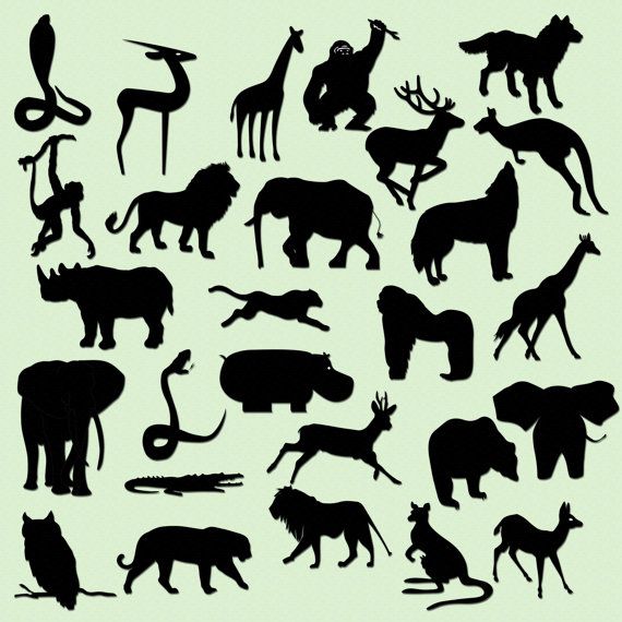 Safari Jungle Animal Silhouettes Clip Art Instant Download  27    
