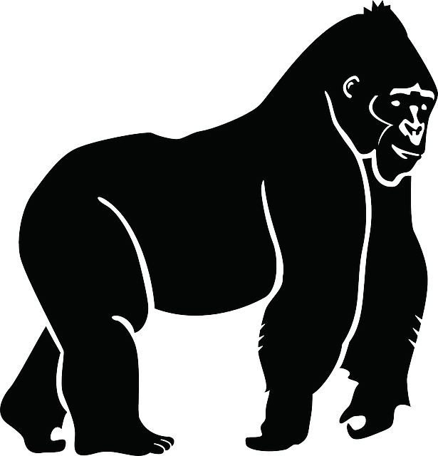Silhouette Ape Gorilla Animal Jungle Zoo Symbol Silhouette Sport    