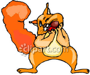 Squirrel Stuffing Its Cheeks   Royalty Free Clipart Picture