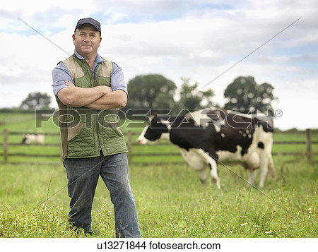 Stock Photo   Farmer With Cow In Field  Fotosearch   Search Stock    