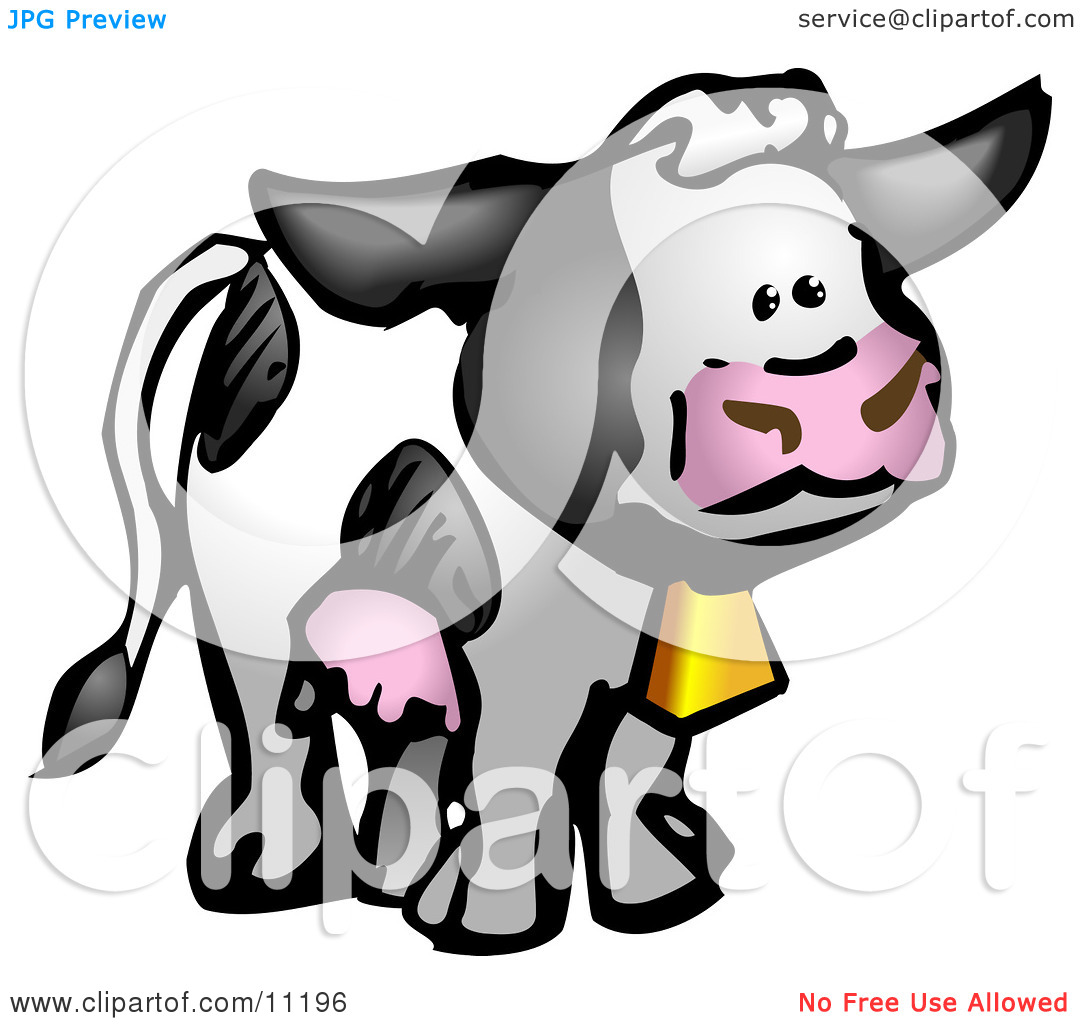 Black And White Cow With Udders And A Cow Bell On A Dairy Farm Clipart    