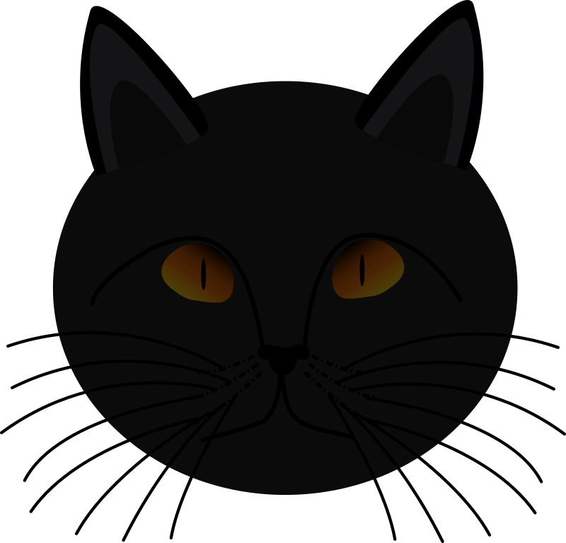 Black Cat Face By Naoshika