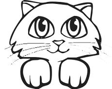 Cat Face Drawing   Clipart Best
