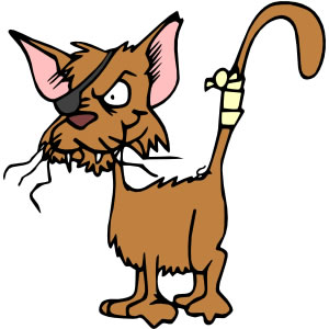 Clip Art Of A Mean Looking Cat With Eye Patch And Bandaged Tail