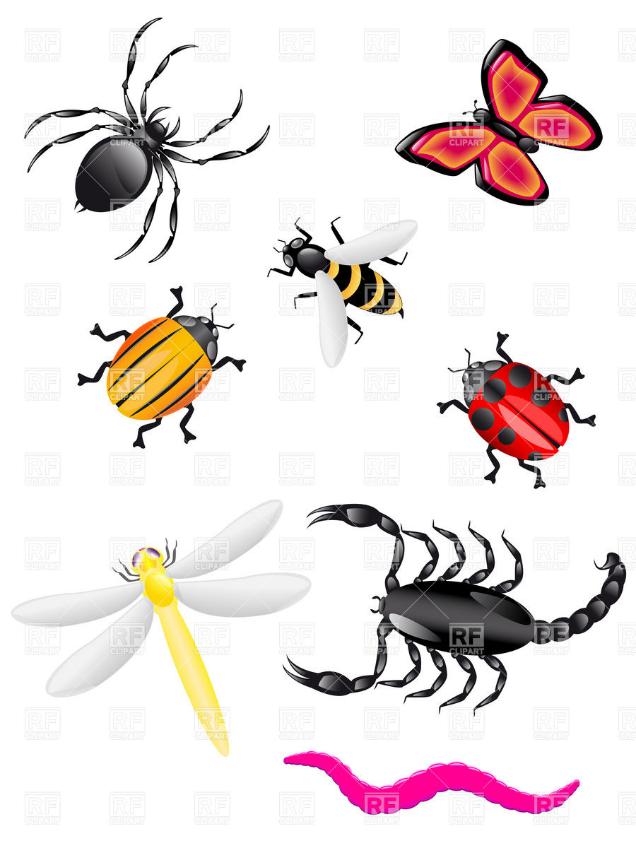 Insect Clipart Beetles And Insects Download Royalty Free Vector File