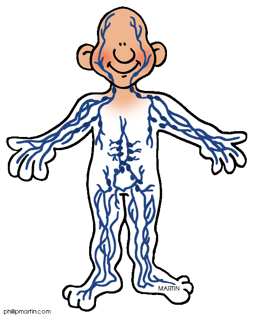 Body Back Clipart Human Body Systems Clipart