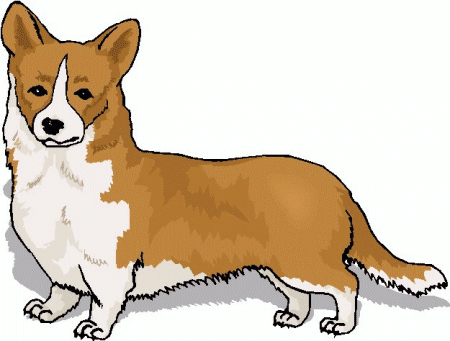 Dog Graphics   Welsh Corgi Dog Graphics