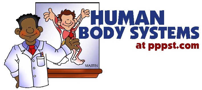 Free Presentations In Powerpoint Format For Human Body Systems Pk 12