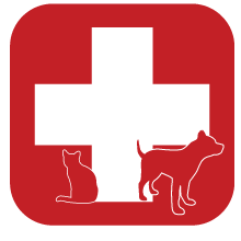 Health And Welfare The Association Of American Veterinary Medical