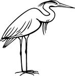 Heron   Vector Illustration Of A Heron Standing
