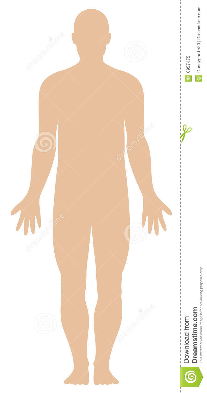 Human Body Systems Clipart