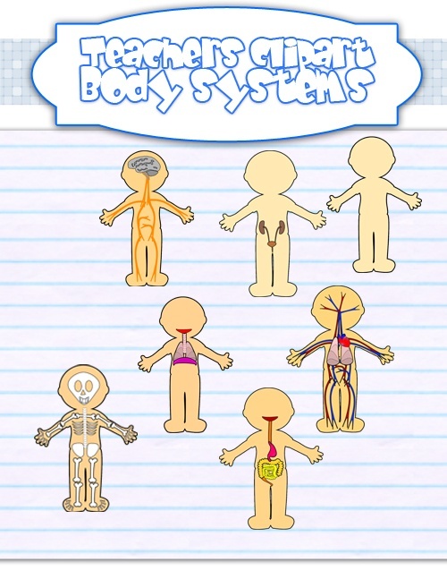 Human Body Systems Clipart   Teacher S Marketplace The Online    