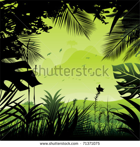 Rain Forest Wildlife Stock Photos Images   Pictures   Shutterstock