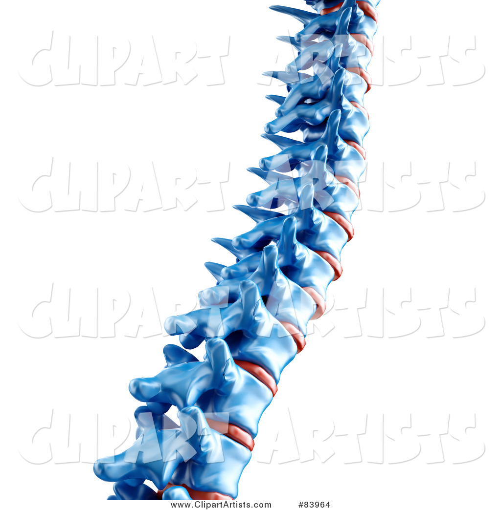 3d 83964 3d Blue Human Spine 3d 85744 3d Clef Resting On Piano Keys 3d    