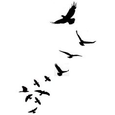 Am Loving These Little Bird Silhouette Tattoos I Don T Know If It S    