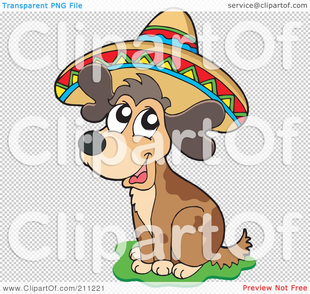 Animal Wearing Sombrero