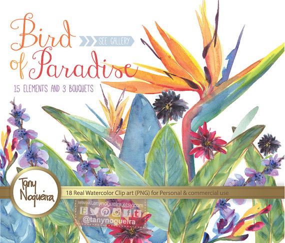 Bird Of Paradisewedding Elements Clipart Flowers Burlap Digital    