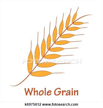 Clipart Of Whole Grain K6975612 Search Clip Art Illustration Murals