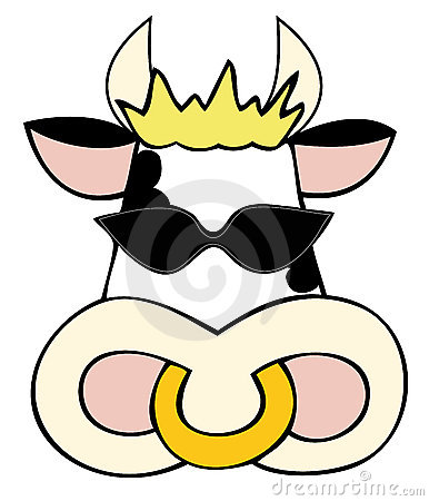 Dairy Cow Face With Dark Glasses