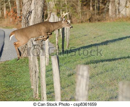 Deer Jumping Over Fence Clipart Whitetail Deer Leaping Fence