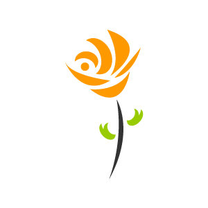 Design Of Flower Clipart   Orange Depressed Rose With White Background