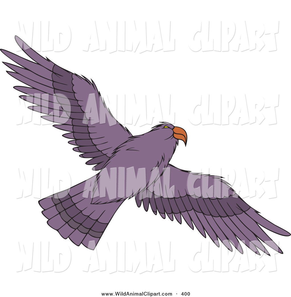 Flying Hawk Clipart Clip Art Of A Flying Purple