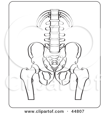 Free  Rf  Clipart Illustration Of A Black And White Xray Of A Human
