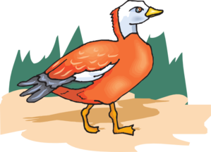 Orange Feathered Bird Clip Art  Png And Svg