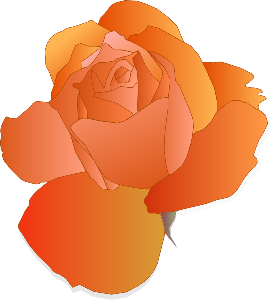 Orange Rose Clipart Orange Rose Clip Art   Vector