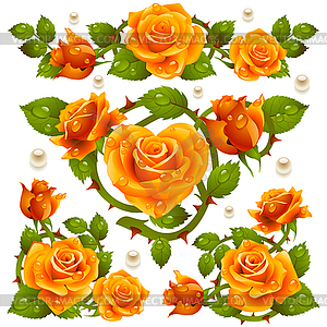 Orange Rose Design Elements   Vector Clip Art