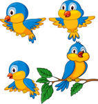 Pics Photos   Bird Orange Vector Clipart Cute Funny Cartoon Stickers